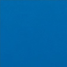 TORINO kolor: ciemno-niebieski (VT0113)